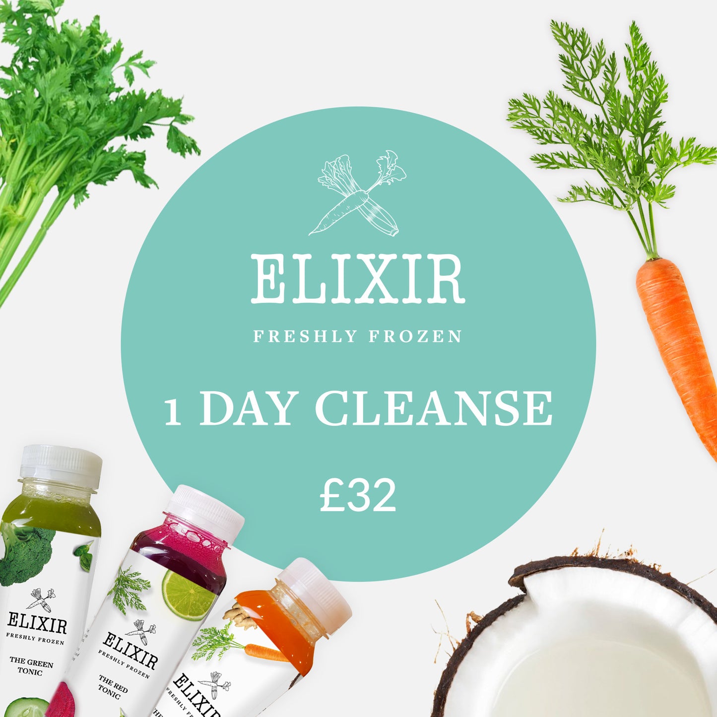 THE 1 DAY CLEANSE